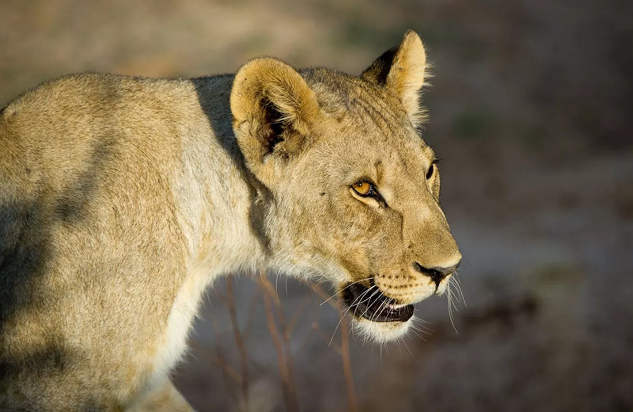 Namíbia Luxo by Wilderness